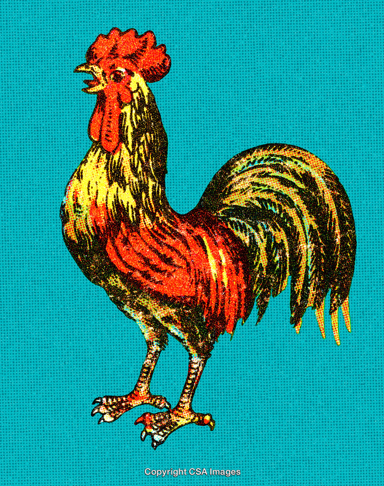 Vintage Rooster Illustration in Bright Colors and Pop Art Style