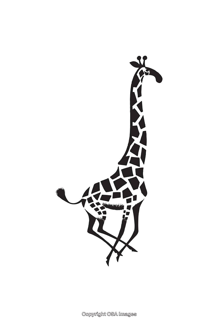 Stylized Black and White Giraffe Illustration with Intricate Patterns