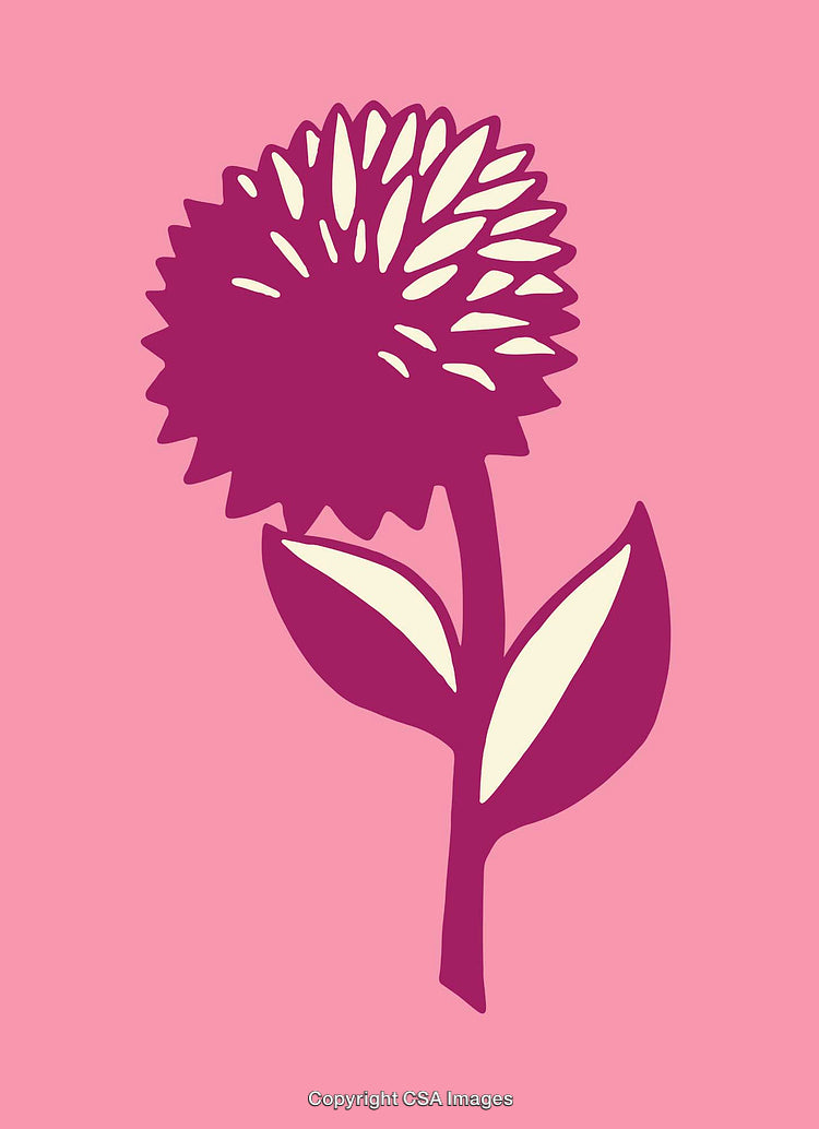 Minimalistic Pink Flower Illustration with Bold Design and Clean Lines