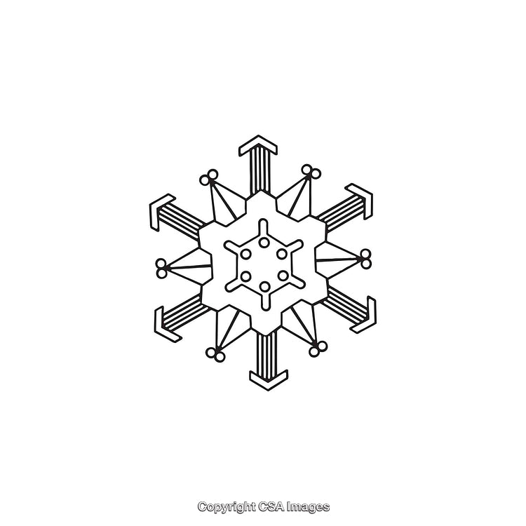 Geometric Snowflake Symbol in Black and White Vector Design