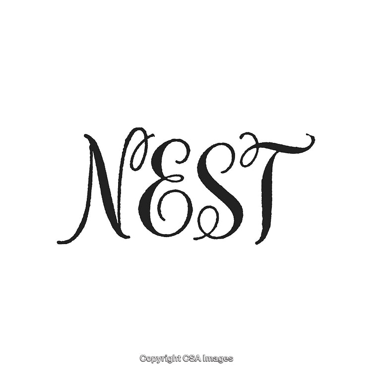 Stylish Decorative Typography Art Featuring the Word 'Nest'
