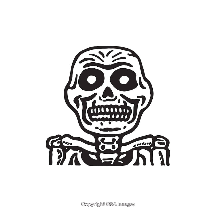 Black and White Line Illustration of a Skull with Detailed Features