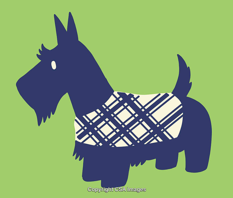 Colorful Illustration of a Scottish Terrier in Plaid on Green Background