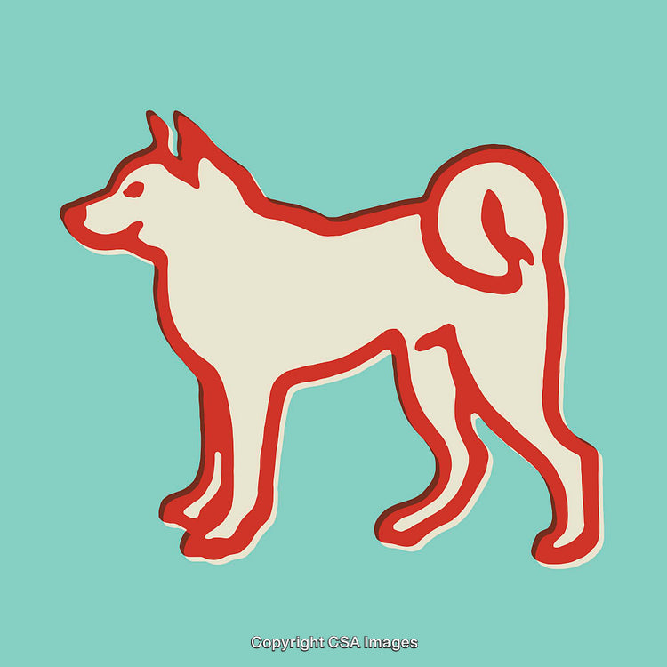 Minimalistic Illustration of a Dog in Bold Outline Style on Green Background