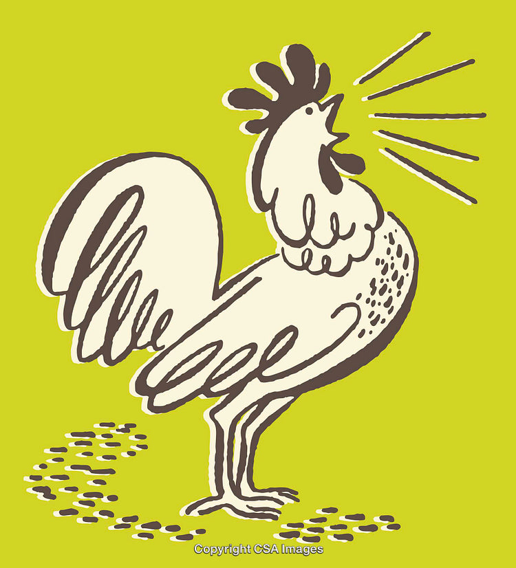 Colorful Line Art of a Crowing Rooster with Vibrant Lime Green Background