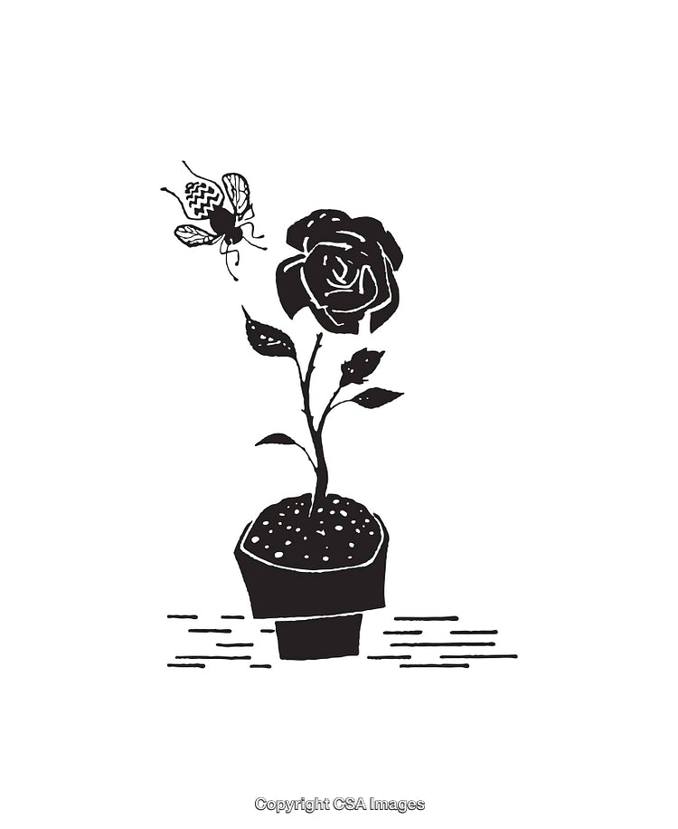 Black and White Line Art of a Flower with a Flying Insect