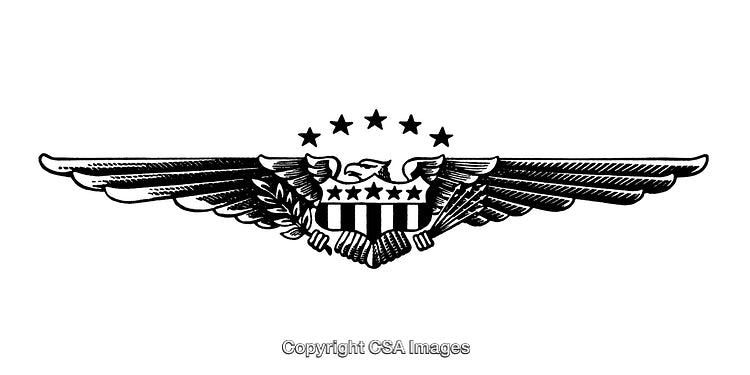 Intricate Black and White Engraving of Winged Emblem with Stars and Shield