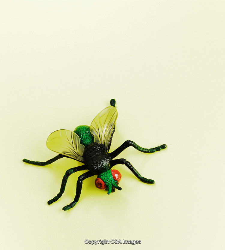 Close-Up of a Colorful Plastic Fly Toy on Yellow Background