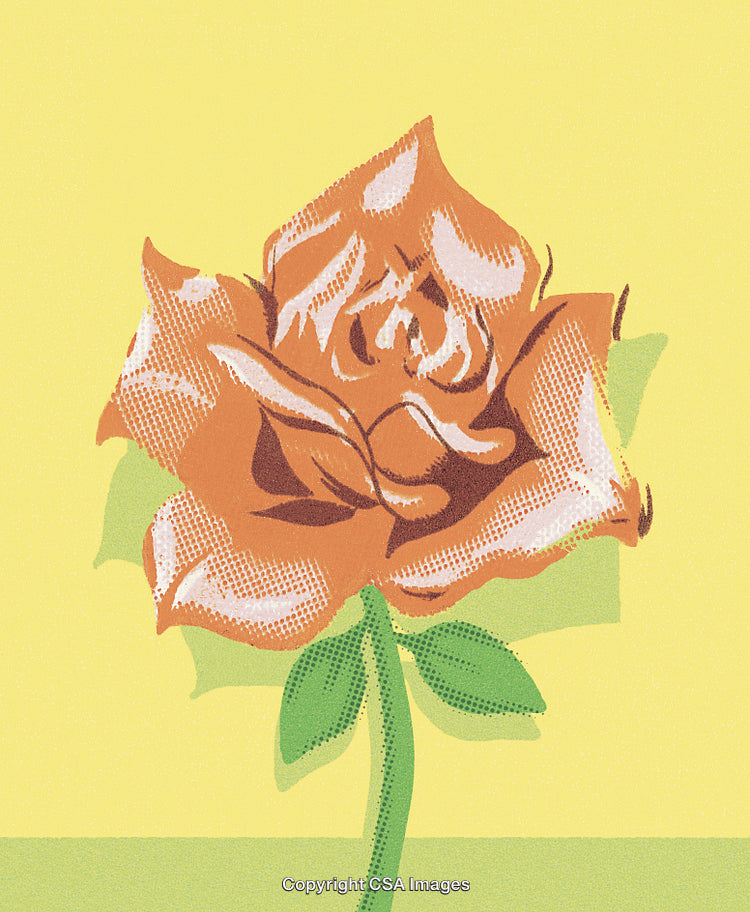 Red Rose