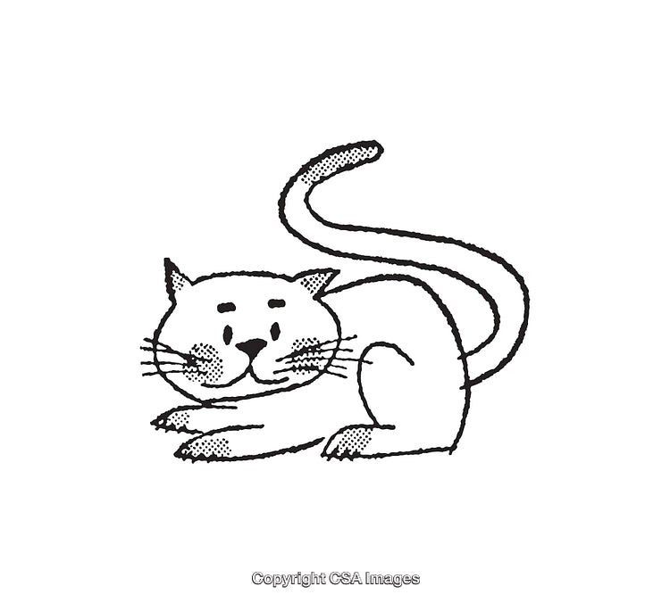 Black and White Illustrative Line Art of a Curious Cat with Curved Tail