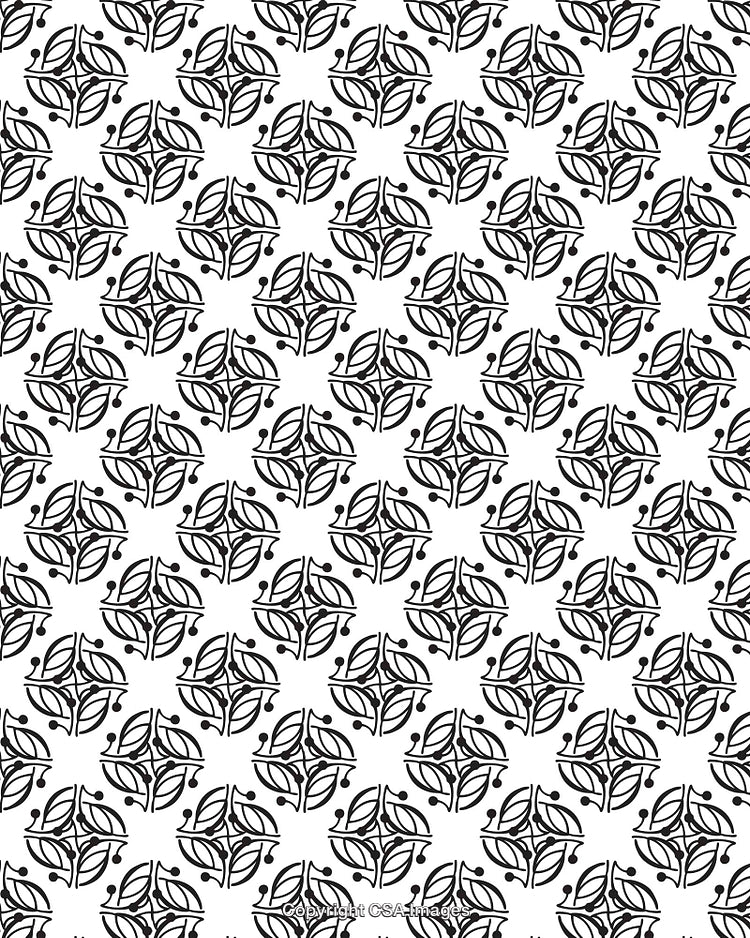 Abstract Black and White Floral Pattern With Geometric Symmetry Design