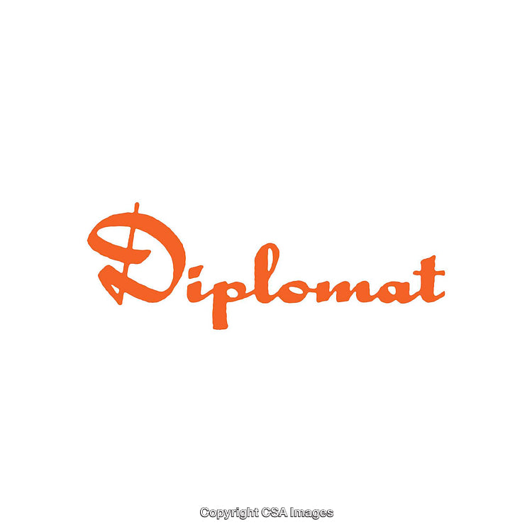 Vibrant Orange Script Logo on White Background in Modern Font