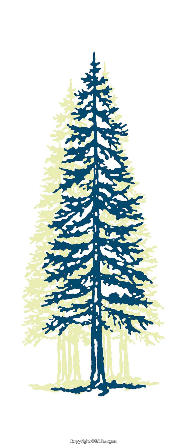 Stylized Illustration of Pine Trees with a Clean White Background