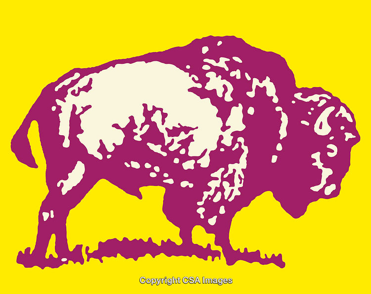 Bright Colorful Pop Art Buffalo Illustration on Yellow Background