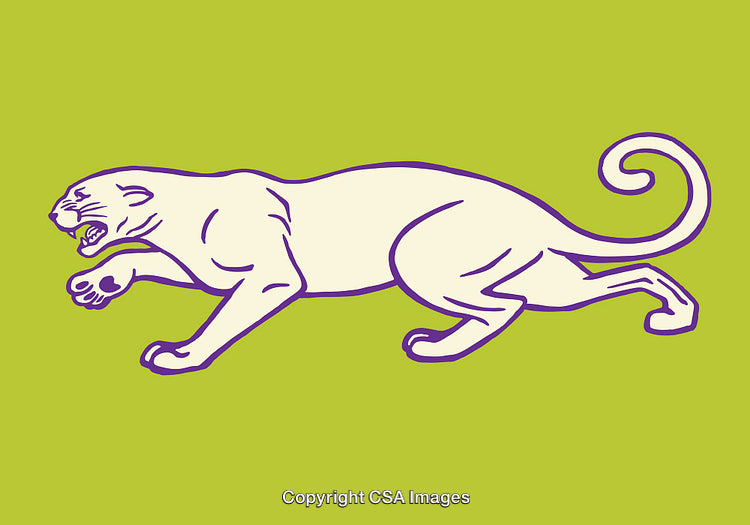 Stylized Line Art Illustration of a Panther on a Green Background