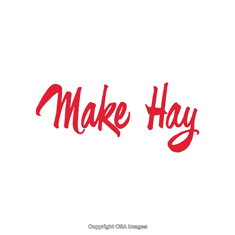 Red Handwritten "Make Hay" Calligraphy Text on Solid White Background
