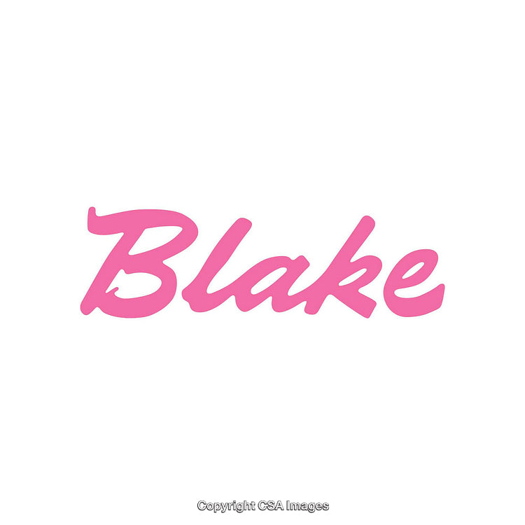 Stylized Pink Script Text Featuring the Word "Blake" on White Background