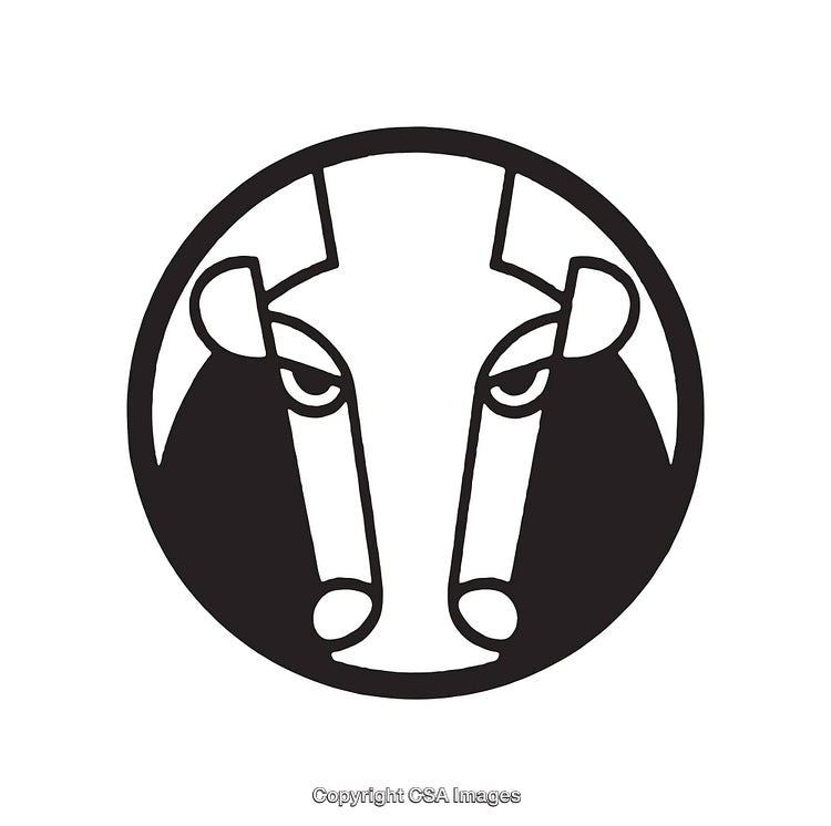 Black and White Line Art Illustration of a Bull's Head