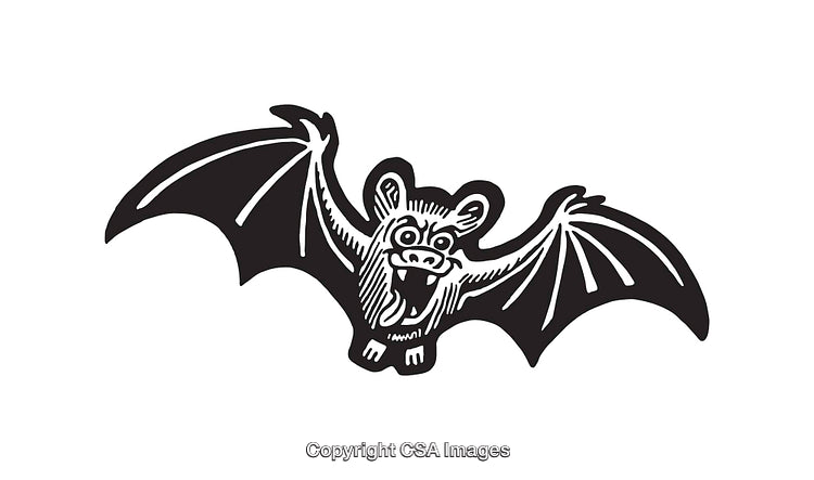 Black and White Illustration of a Stylized Bat in Flight