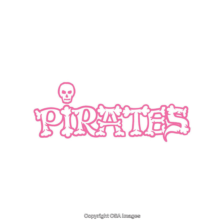 Pink Skull and Crossbones Pirate Text Decor Art on White Background
