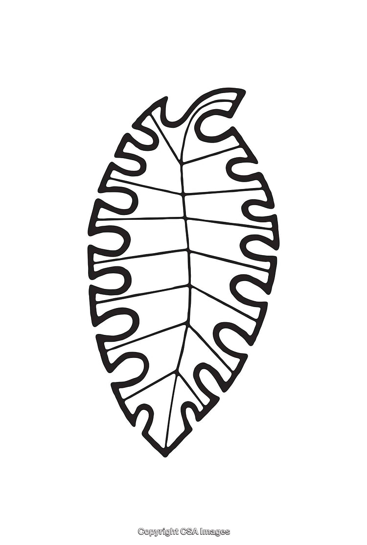 Black and White Line Art Illustration of a Tropical Leaf