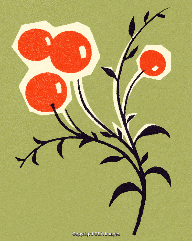 Stylized Botanical Artwork with Red Flowers on a Light Green Background
