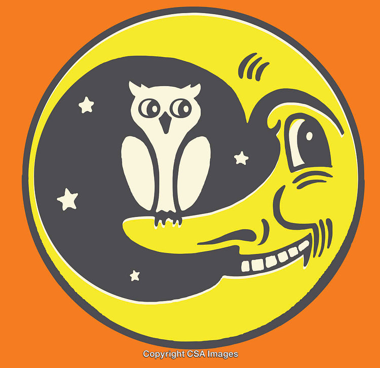 Whimsical Owl and Man in Moon Illustration With Starry Background