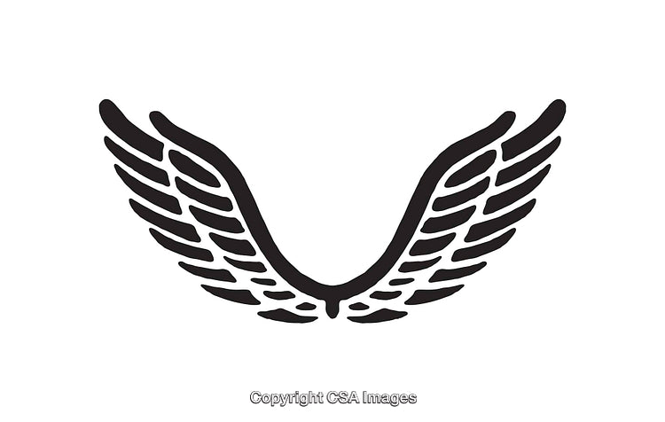 Black and White Symmetrical Wing Illustration in Line Art Style