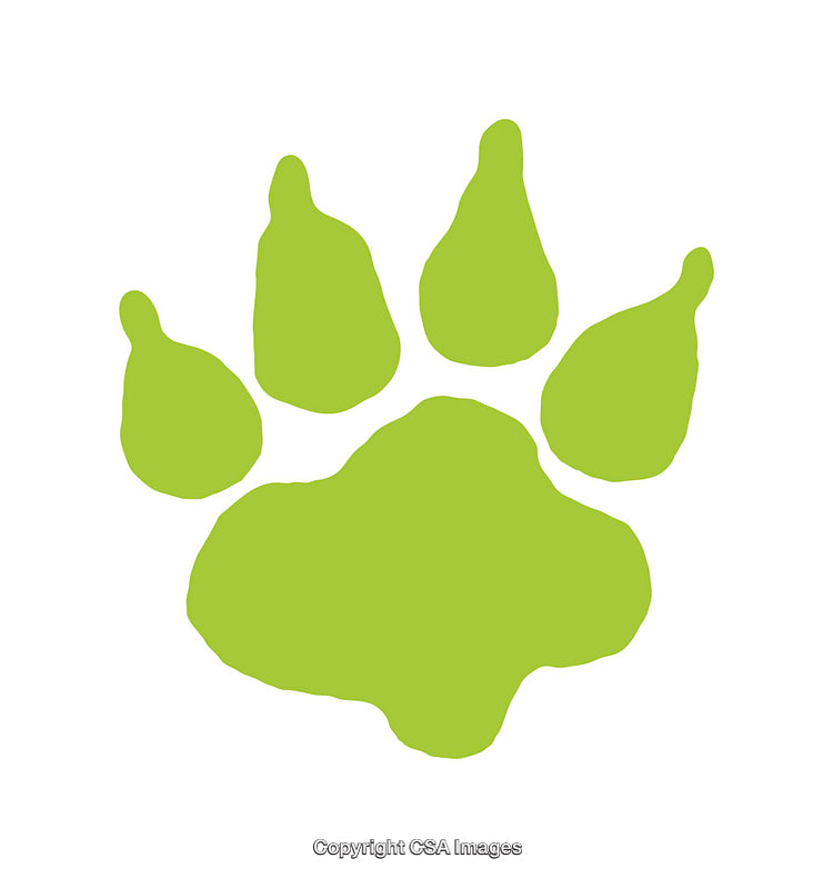 Green Paw Print Icon on a White Background