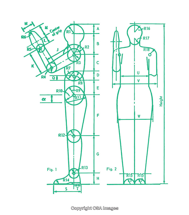 Illustrated Diagrams of a Human Figure with Proportional Measurements