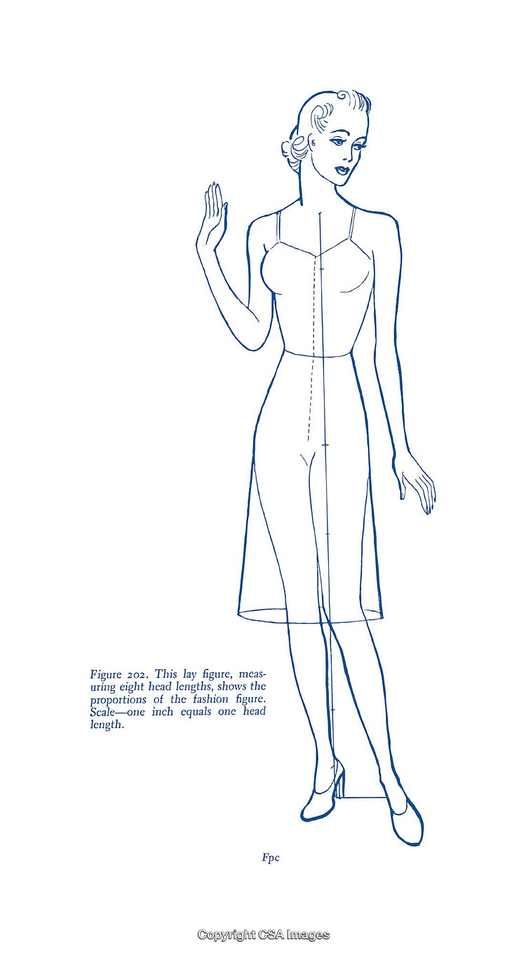 Detailed Fashion Proportion Diagram Highlighting Eight Head Length Measurement