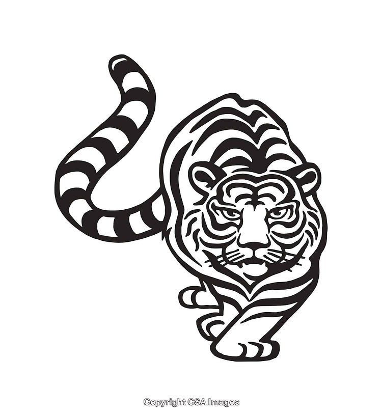 Black And White Line Drawing of a Tiger in a Striking Pose