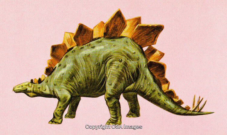 Illustration of a Stegosaurus Dinosaur on a Soft Pink Background