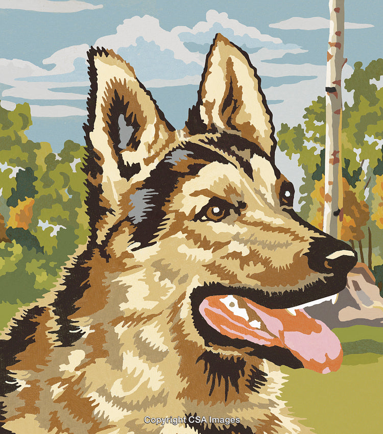 Detailed Illustration of a German Shepherd in a Paint by Number Style