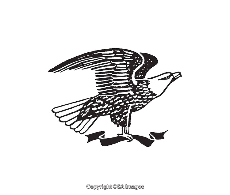 Illustration of a Majestic Bird in Black and White Line Art Design