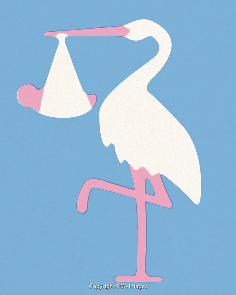 Illustration of a Stork Carrying a Baby Over a Light Blue Background