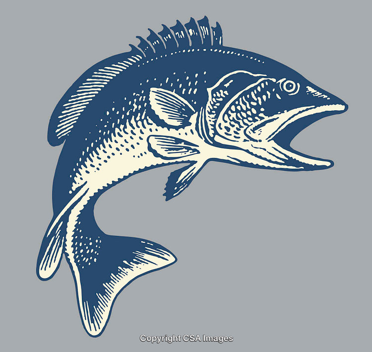 Detailed Blue Fish Illustration with Fine Line Art Style on Grey