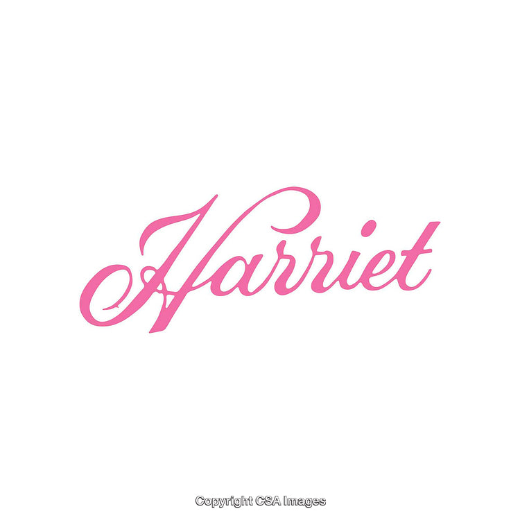Elegant Pink Script Font Artwork on a Clean White Background