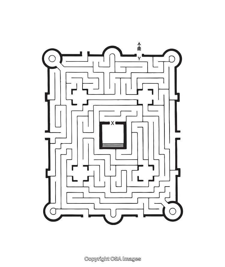 Black and White Maze Puzzle Diagram with Entry and Exit Points