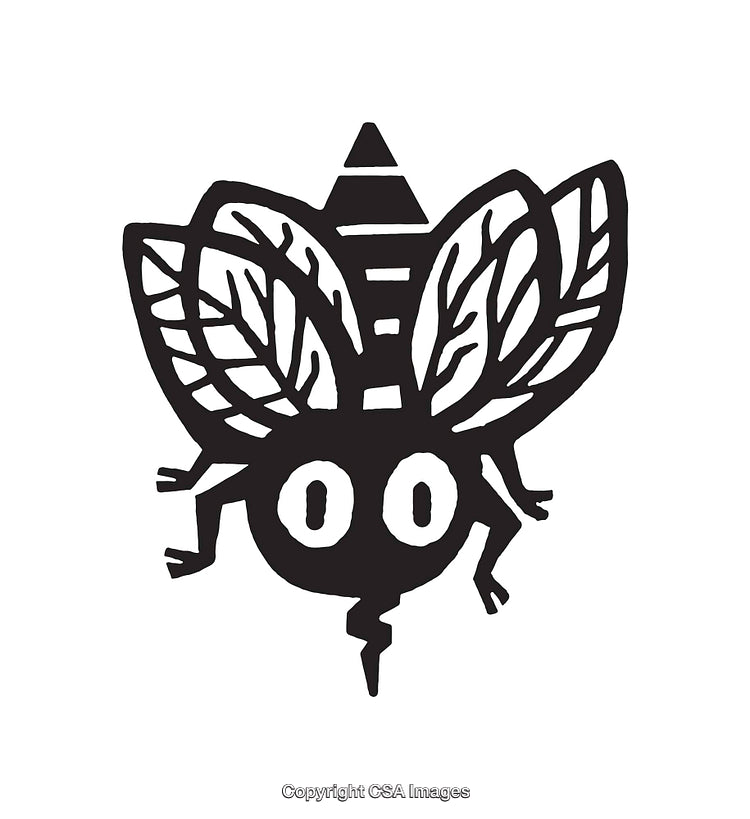 Black and White Line Art Illustration of an Abstract Insect Design