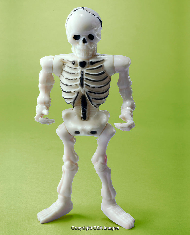 Plastic Skeleton Toy on a Green Background, Halloween Decoration Concept