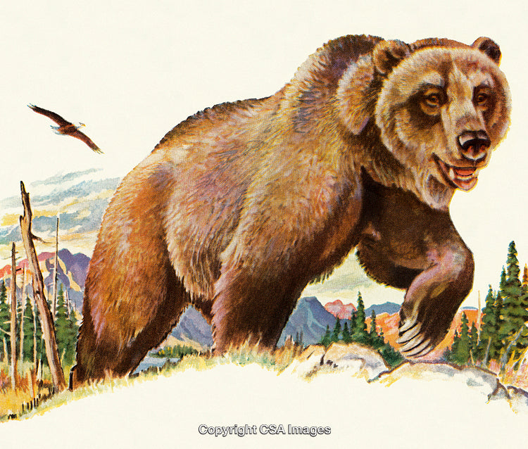 Majestic Bear in a Scenic Forest Landscape with Bird in Flight