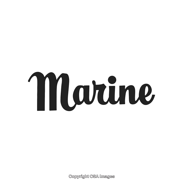 Elegant Marine Text in Script Font on White Background