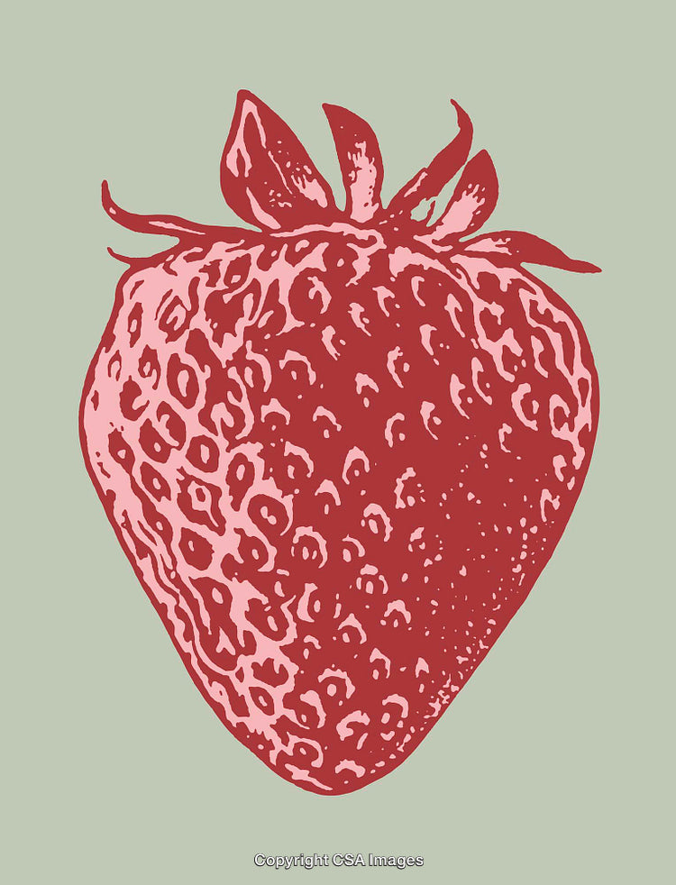 Vibrant Color Line Art Illustration of a Ripe Strawberry