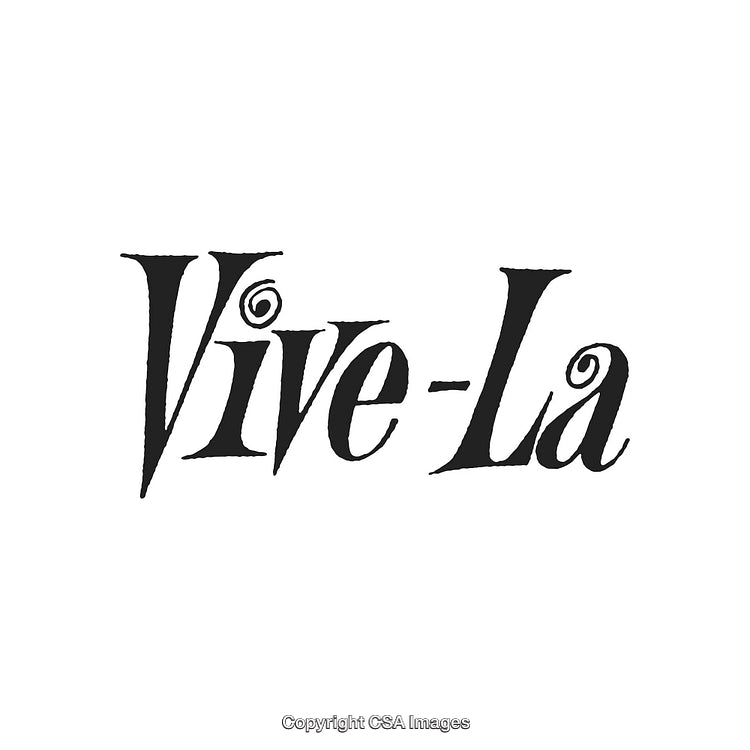 Elegant Vintage-Inspired Logo Design with Artistic Typography on White Background