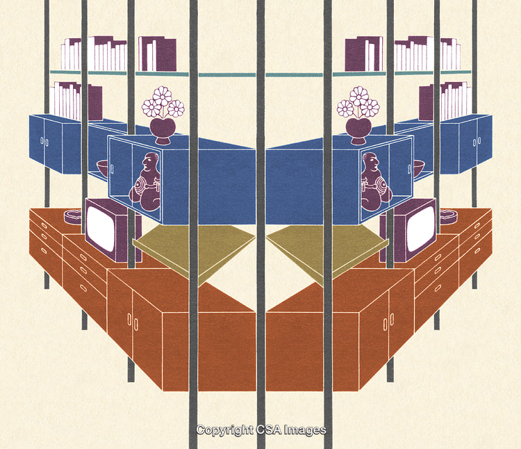 Symmetrical Modern Interior Design Arrangement with Retro Elements and Colorful Shelving Units