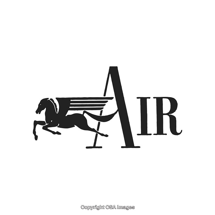 Elegant Black and White Pegasus Logo Design for Air Travel Brand