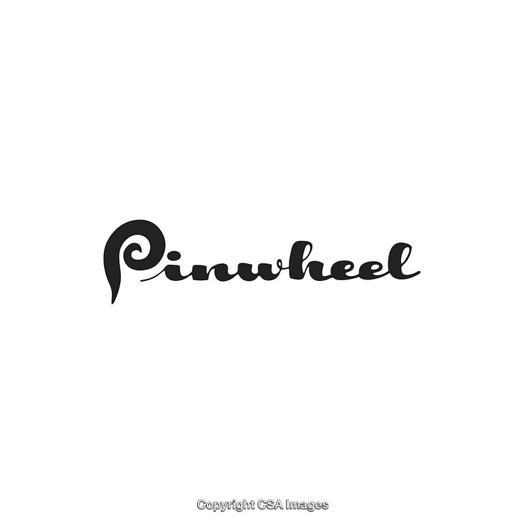 Creative Minimalist Black Script Pinwheel Logo on White Background