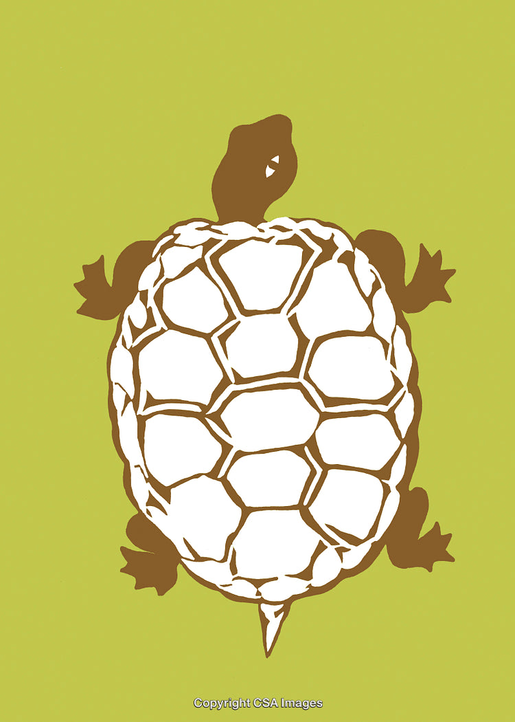 Abstract Illustration of a Turtle on a Bright Yellow Background