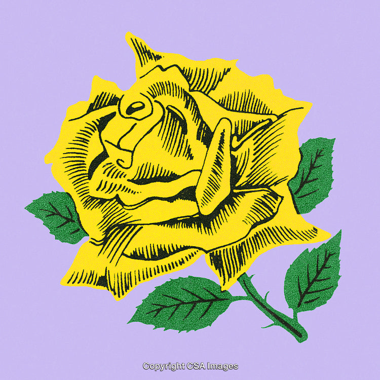 Vibrant Yellow Rose with Green Leaves on a Light Purple Background